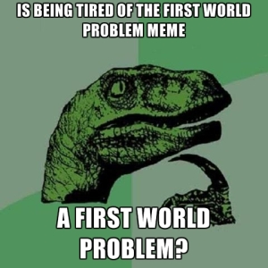 is-being-tired-of-the-first-world-problem-meme-a-first-world-problem